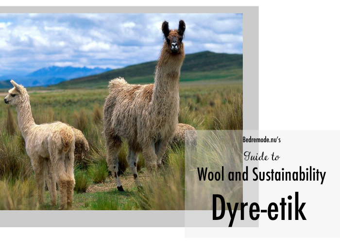 wool guide 2