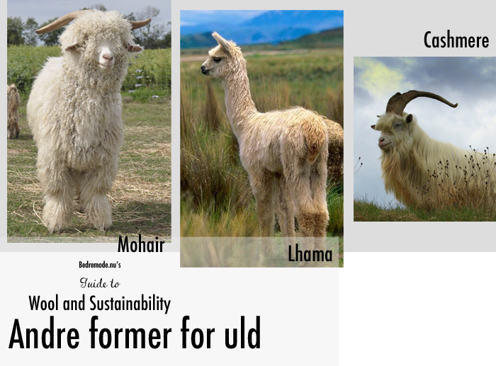 wool guide 4