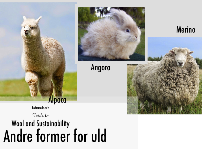 wool guide 5