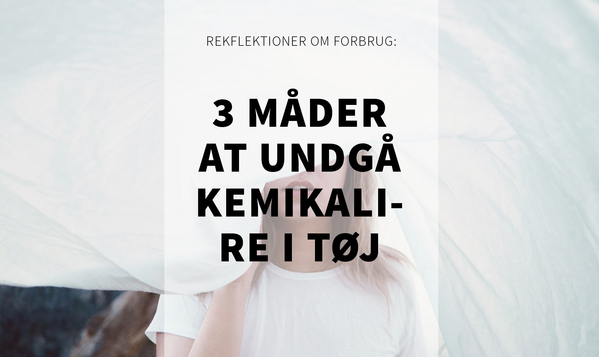 indlæg 3