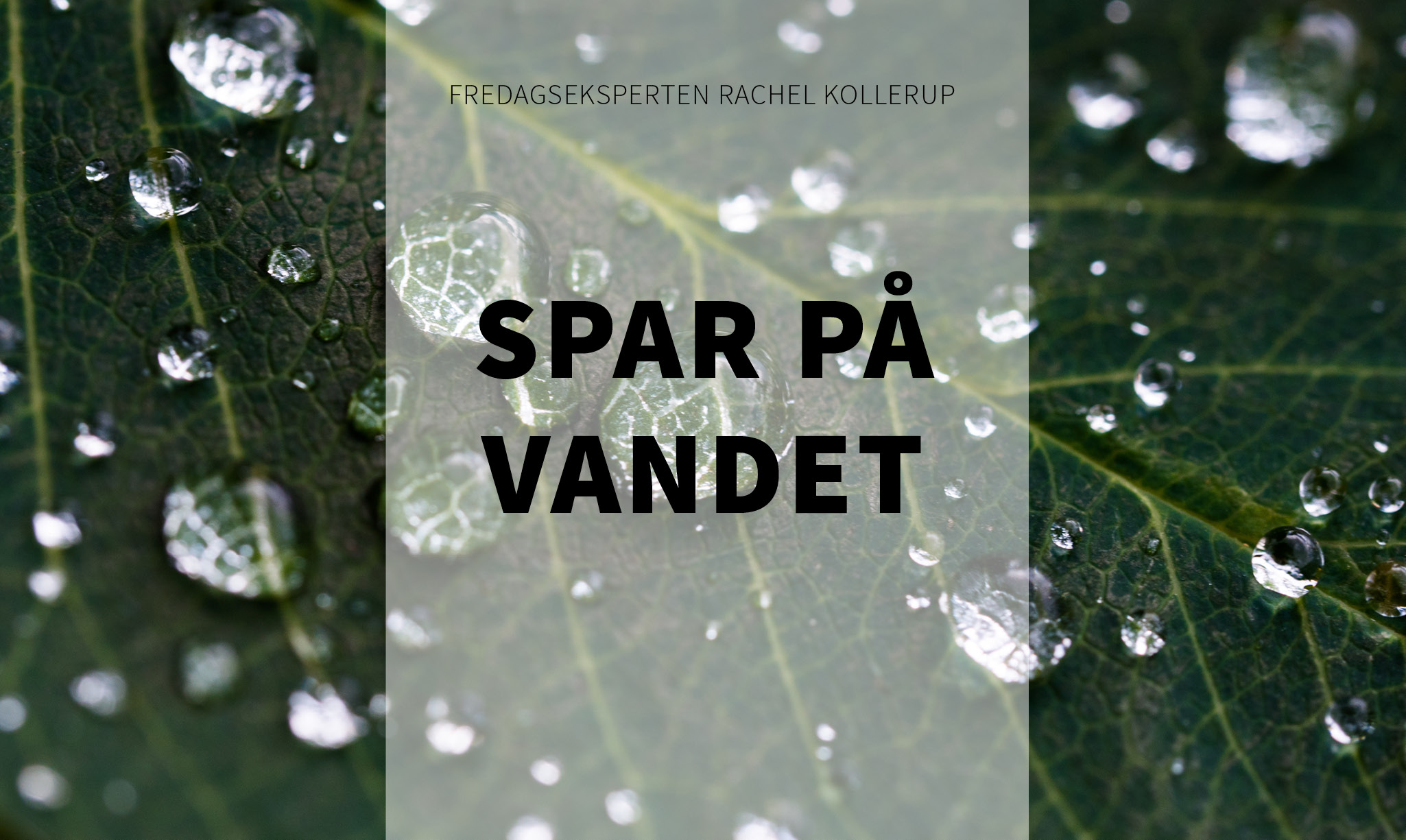 spar på vandet 1